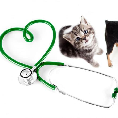 Yoğun Bakım (Küvöz)